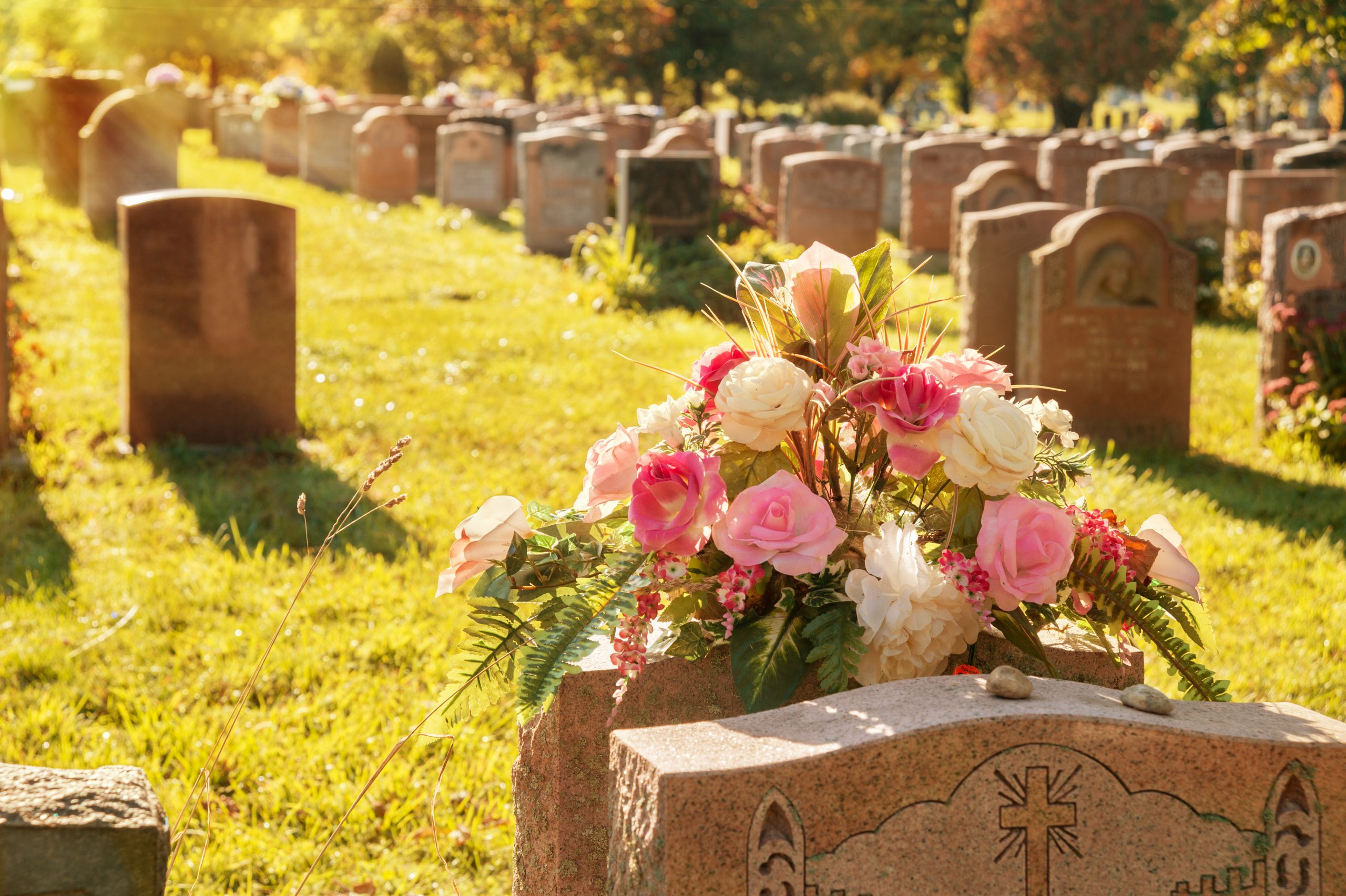 Rosen auf einem Friedhof, Bestattungen Rudolph oHG
